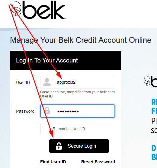 belk credit card payment