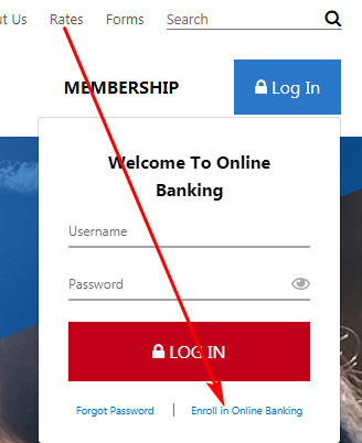 American Airlines Credit Union internet banking